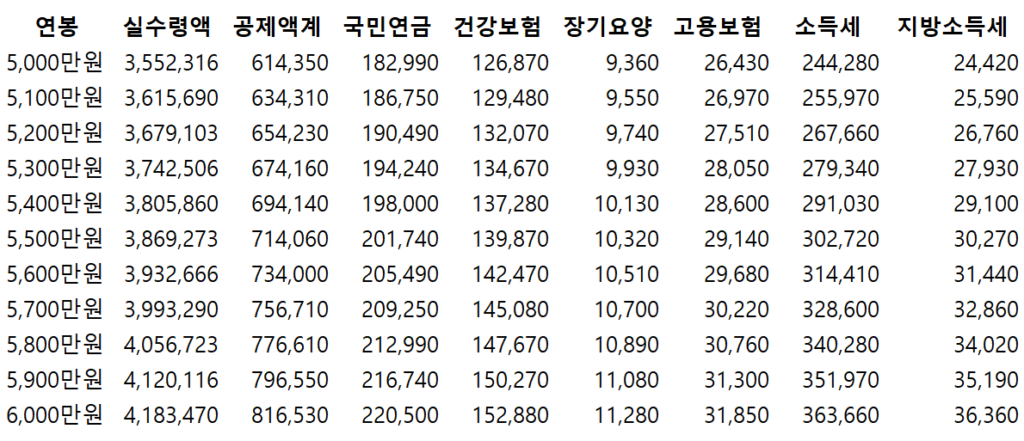 2024년 연봉 실수령액표 5,000만원 ~ 6,000만원