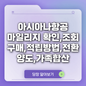 아시아나항공 마일리지 확인, 조회, 구매, 적립방법, 전환, 양도, 가족합산 사용 팁까지