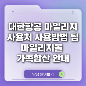 대한항공 마일리지 사용처 사용방법 팁 마일리지몰 가족 호텔 안내