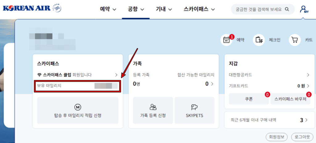 대한항공 홈페이지 마일리지 조회 3