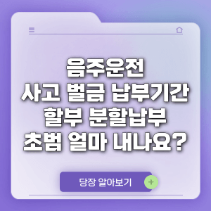 음주운전 사고 벌금 납부기간 할부 분할납부 초범 얼마
