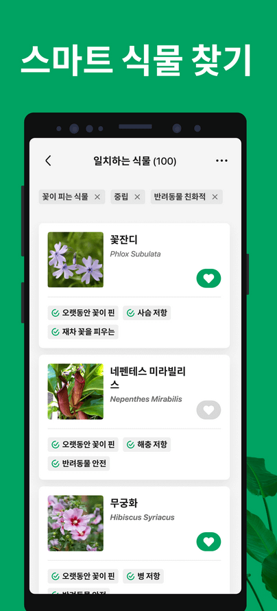 사진으로 꽃이름 찾기 검색하기 9
