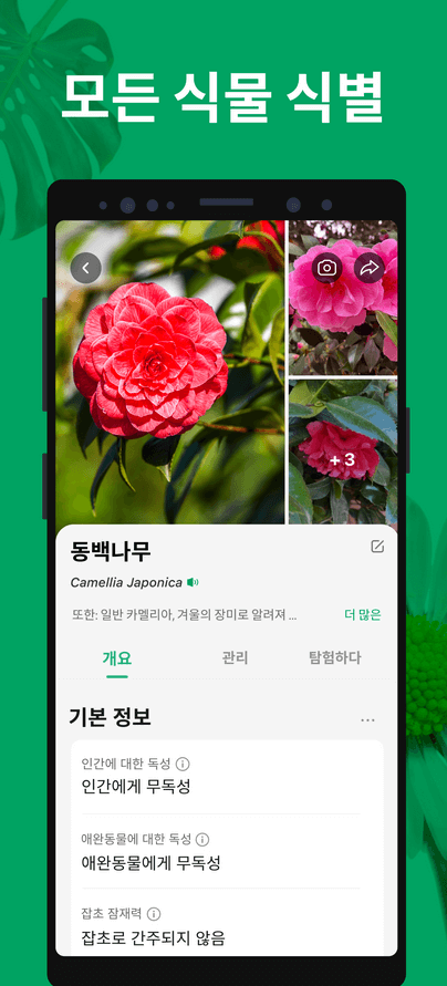 사진으로 꽃이름 찾기 검색하기 3