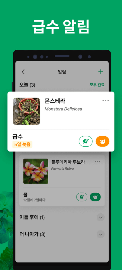 사진으로 꽃이름 찾기 검색하기 6