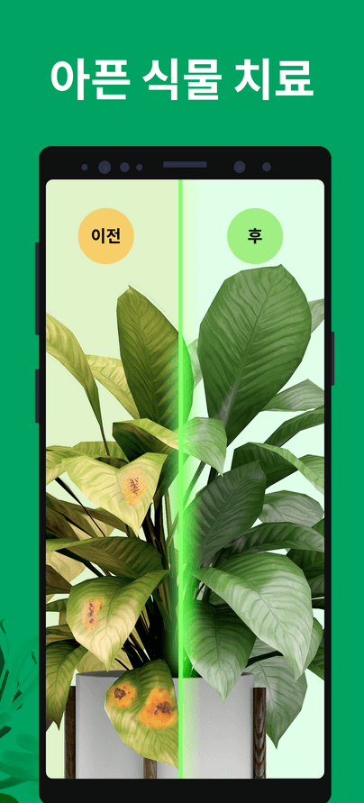 사진으로 꽃이름 찾기 검색하기 8