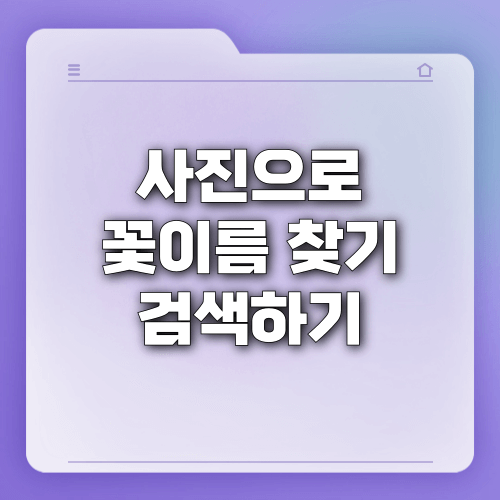 사진으로 꽃이름 찾기 검색하기